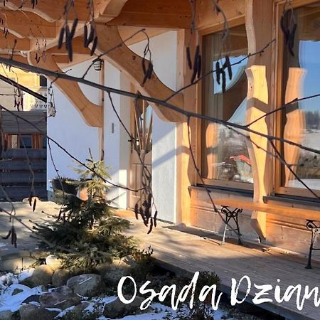 Osada Dzianisz N°54 Villa Екстериор снимка